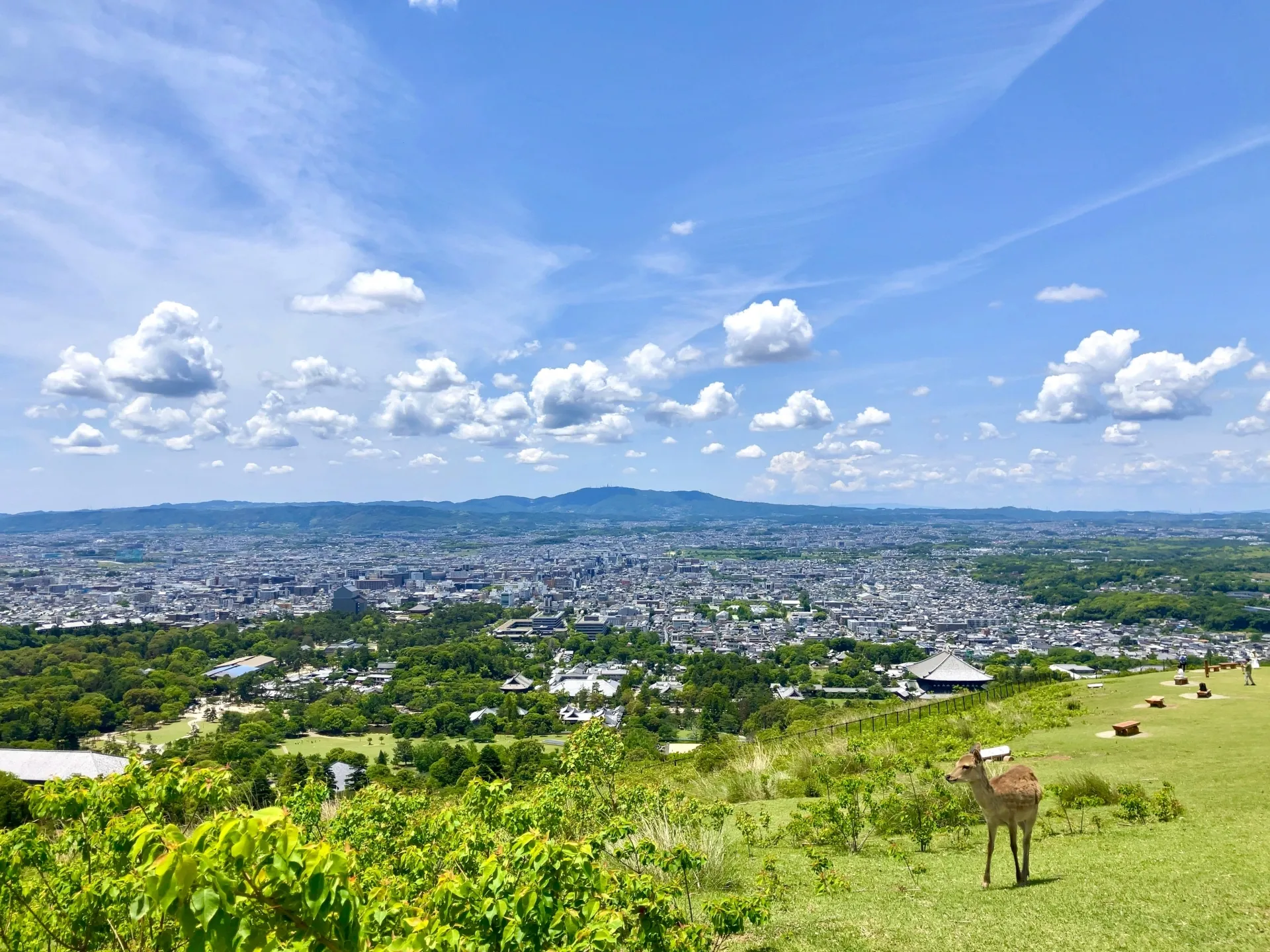 奈良県の街並みと歴史ある風景
