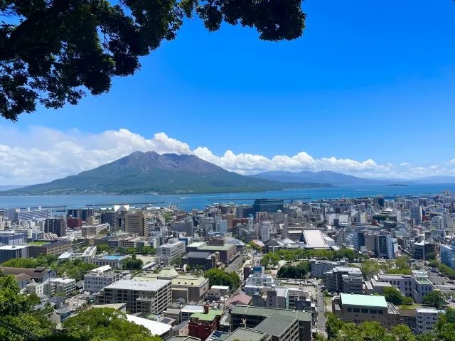 木々の間から望む桜島と錦江湾、手前に広がる鹿児島市の市街地