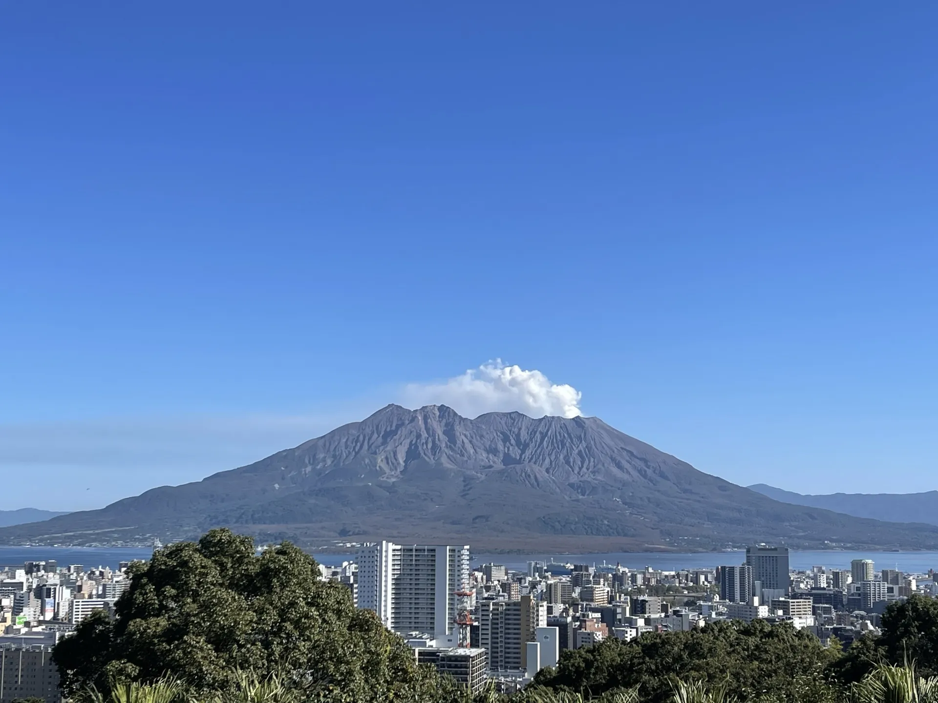 鹿児島の平屋の住宅会社を比較するイメージ