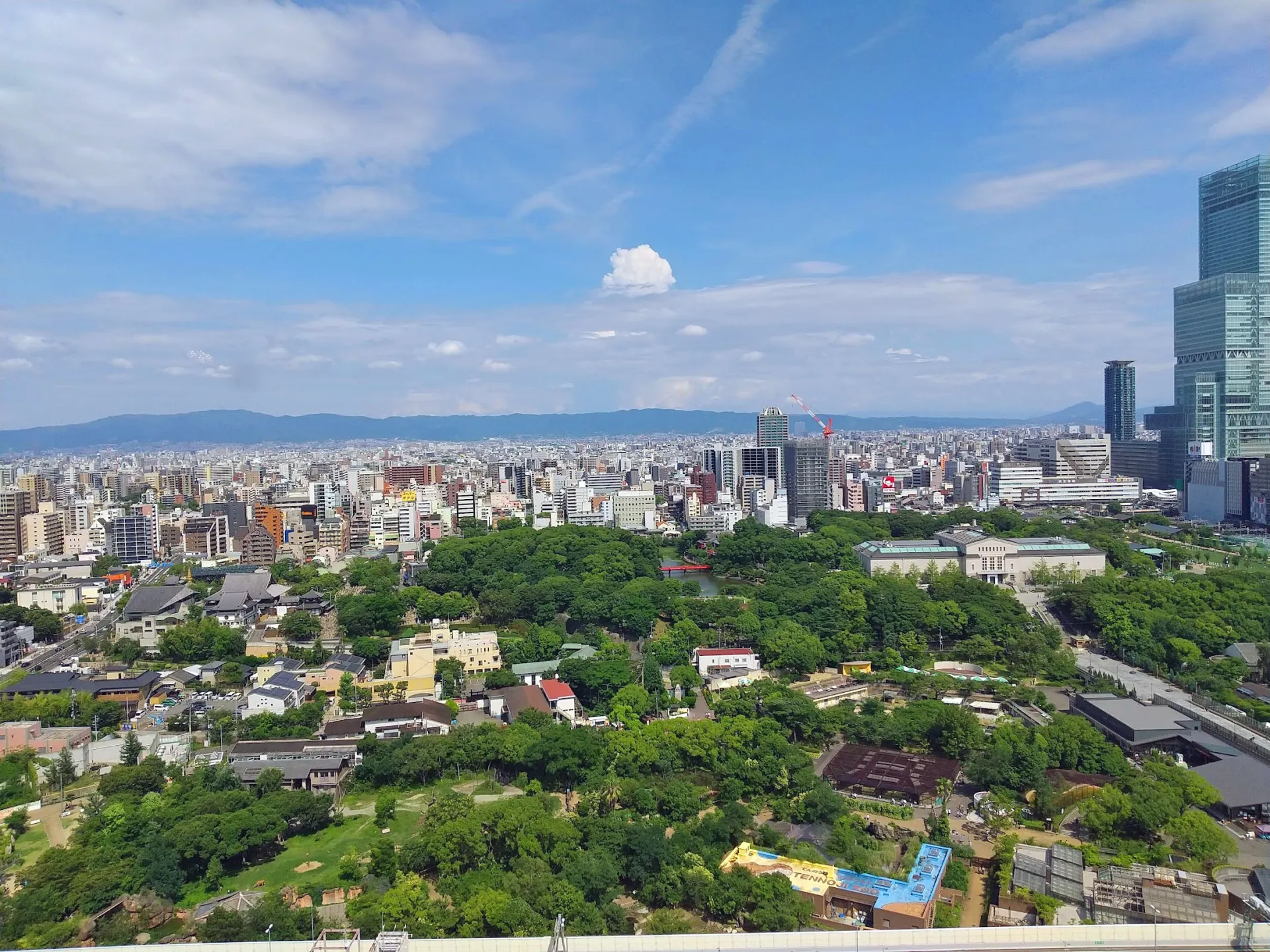 堺市と泉州の住宅街の眺め